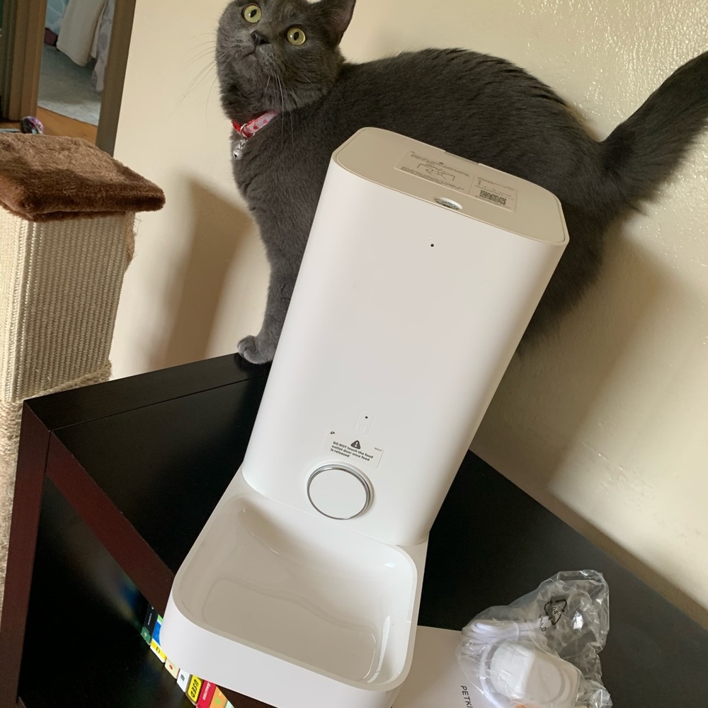 PetKit Cat Feeder, Out of Box but NEW!